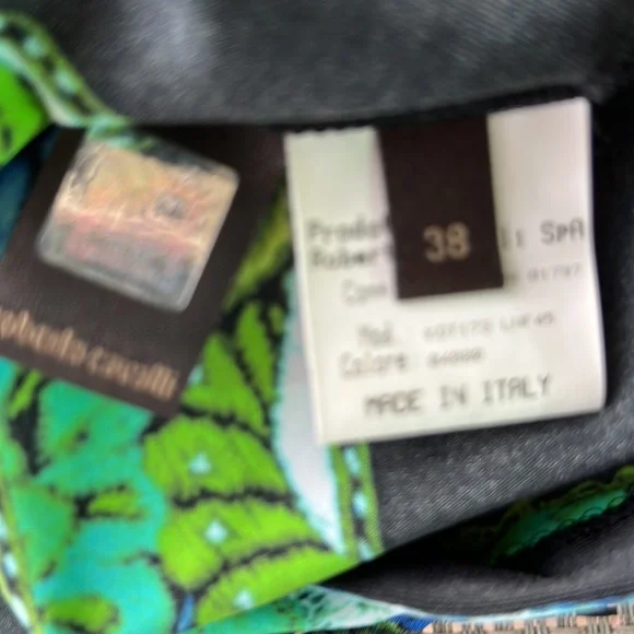 Roberto Cavallli new gorgeous dress - Picture 9 of 10